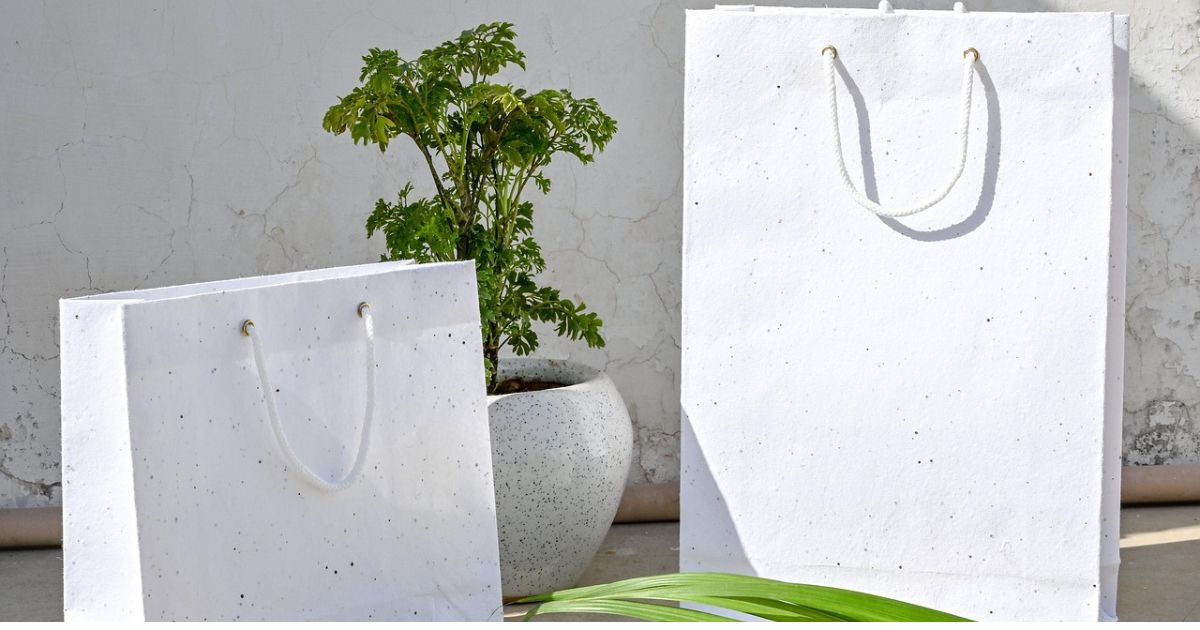 専門書アカデミーに送る箱の種類（ダンボール・紙袋・宅配袋）をイメージする写真